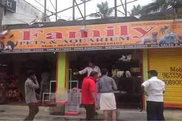 Image of: Family Pets & Aquarium